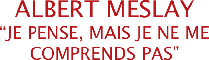 ALBERT MESLAY
“JE PENSE, MAIS JE NE ME COMPRENDS PAS”