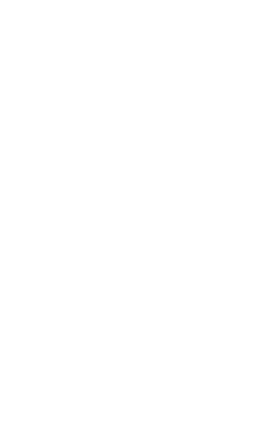 L’action se déroule en 1985 dans une ville proche de la Suisse, à l’intérieur d’un appartement rappelant l’univers d’un ermite.

Mais surtout, l’action se déroule dans la tête d’un homme de 50 ans devant faire face à une révélation improbable : il est le jumeau d’Elvis. Le vrai : Elvis Presley.

Cette vérité qui s’offre à ce misanthrope, qui n’attend plus rien de la vie, est mise en lumière par une sorte d’ange punk et manipulateur, galopant dans son esprit.

Bienvenue chez Louis-Aimé Leroy, ou plus surement, dans son rêve. Nous allons cheminer dans les méandres de son cerveau d’homme endormi, dans un kaléïdoscope de blues et de rock.

Entre vérité historique et rêve initiatique, ce spectacle pose cette question qui hanta sûrement la vie entière de ce mythe qu’est Elvis Presley : que serait devenu son jumeau s’il avait survécu ?